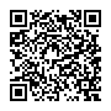 QR code for IPR0951