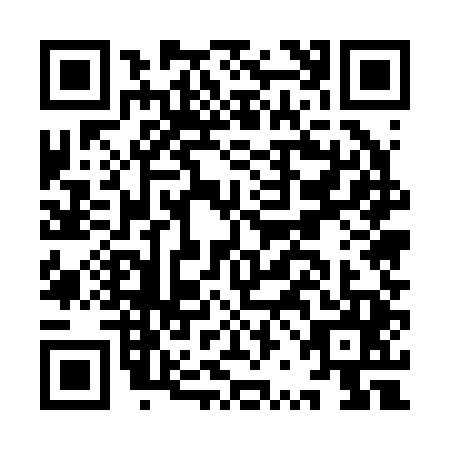 QR code for IRE2456