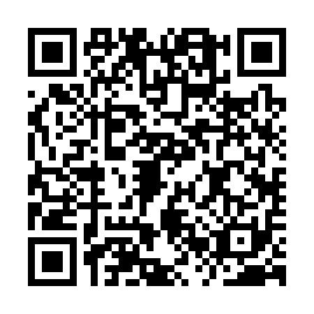QR code for IRR3119