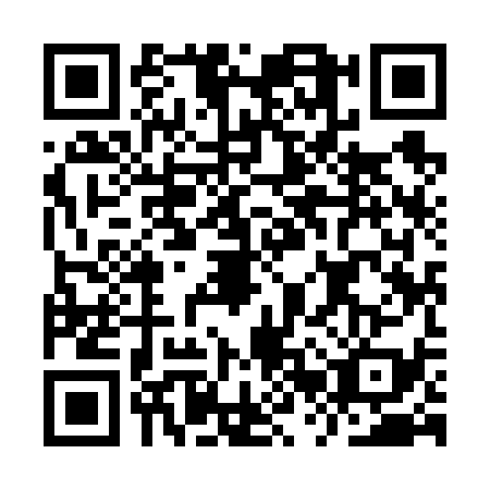 QR code for IRY6393
