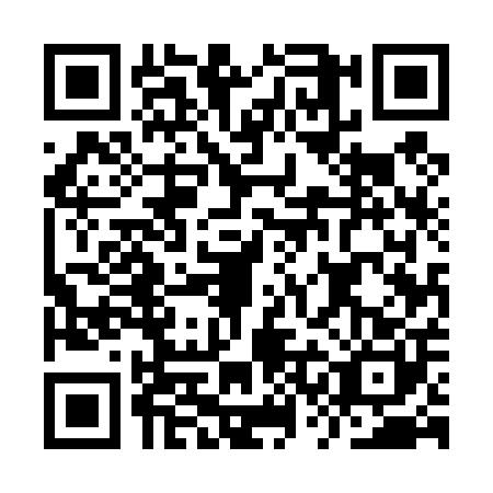 QR code for ISE4007