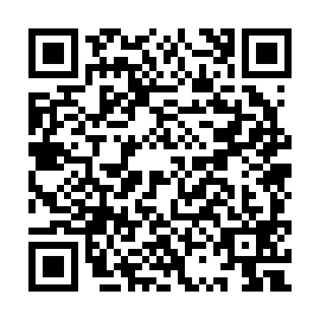 QR code for ISO2993