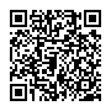 QR code for ISO6603