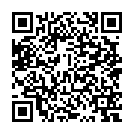 QR code for IVM0613