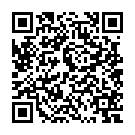 QR code for IVR0041