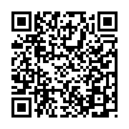 QR code for IVV0495