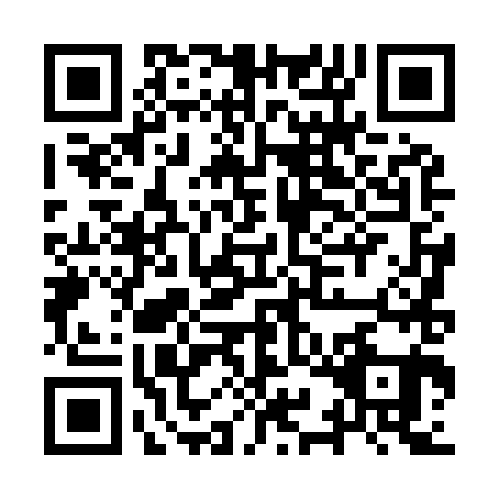 QR code for IYD9811