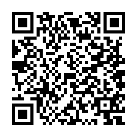 QR code for IYV9119