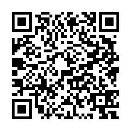 QR code for IYX4393