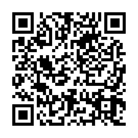 QR code for IYZ9498