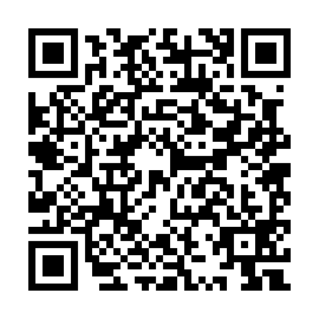 QR code for IZR0991