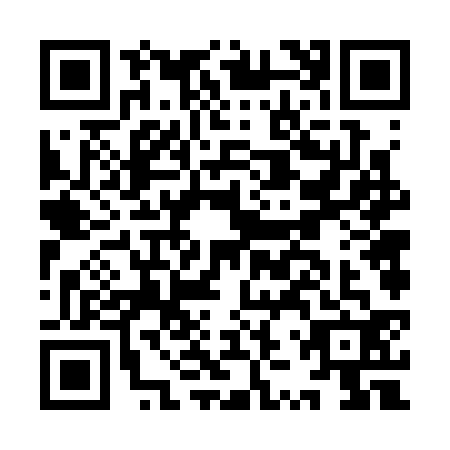 QR code for IZV3325
