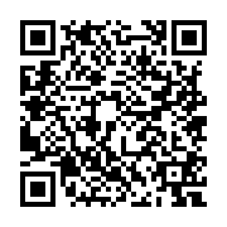 QR code for JDZ9009