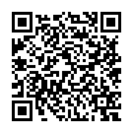 QR code for JFJ8379