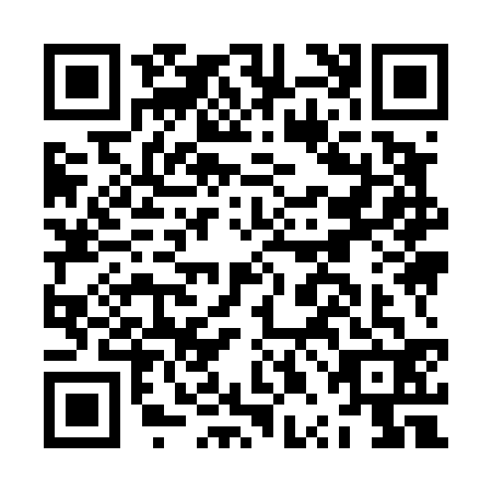 QR code for JPI4329