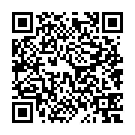 QR code for JUN7383