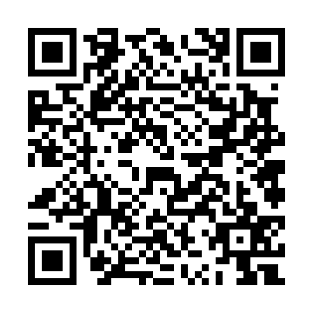 QR code for JZV0377
