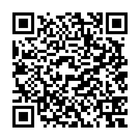 QR code for LAG4396
