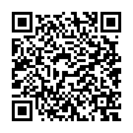 QR code for LAN0243