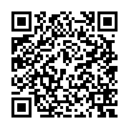 QR code for LAP0696