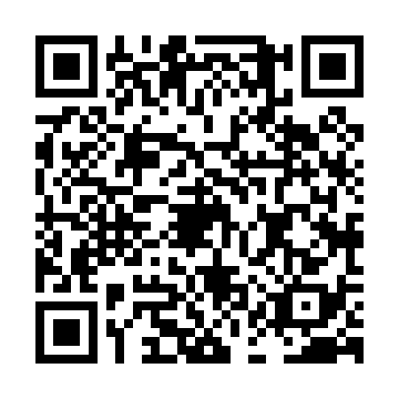 QR code for LAX0384