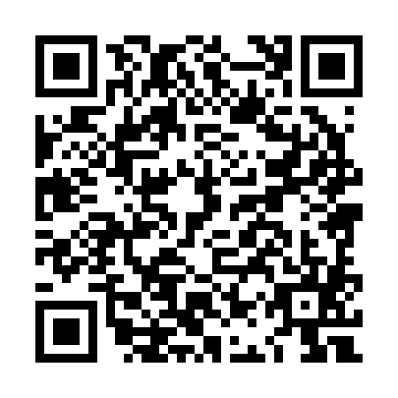 QR code for LAX2856
