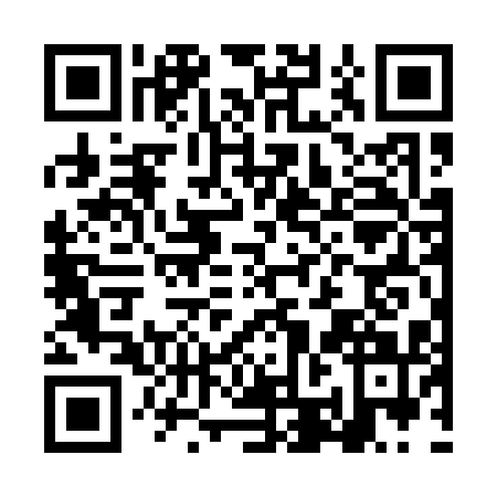 QR code for LBG1119