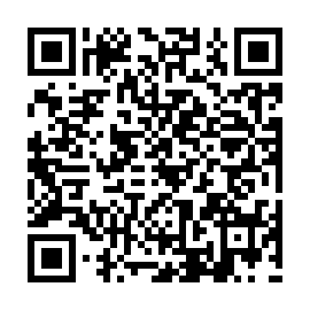 QR code for LBJ9385