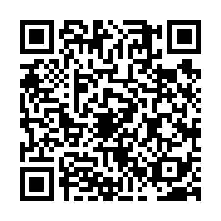 QR code for LBX6397