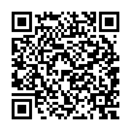 QR code for LCV2963