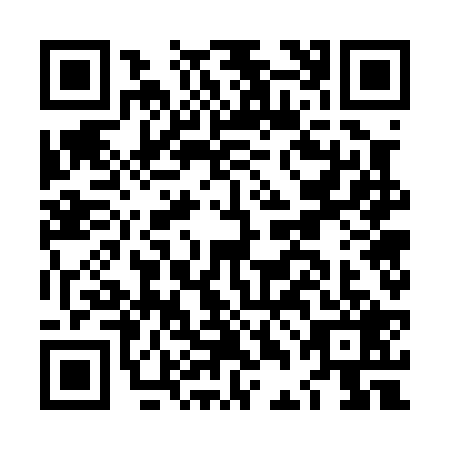 QR code for LDG0294