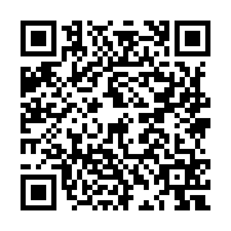 QR code for LDI9646