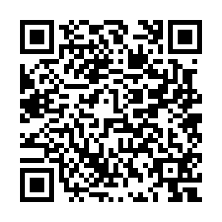 QR code for LDR0125