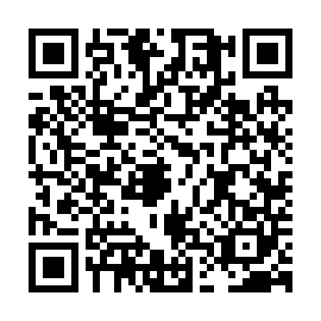 QR code for LDV2408