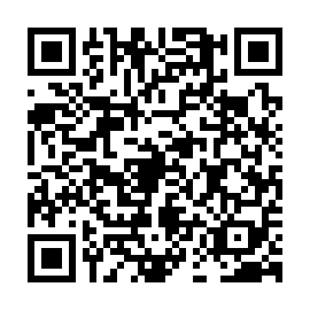 QR code for LEE3597