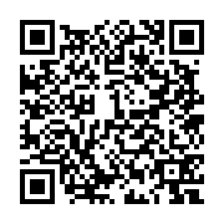 QR code for LES4729