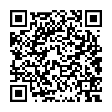 QR code for LFV2295