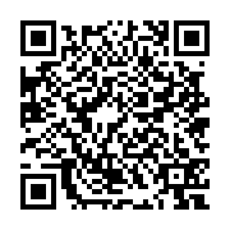 QR code for LHE0339