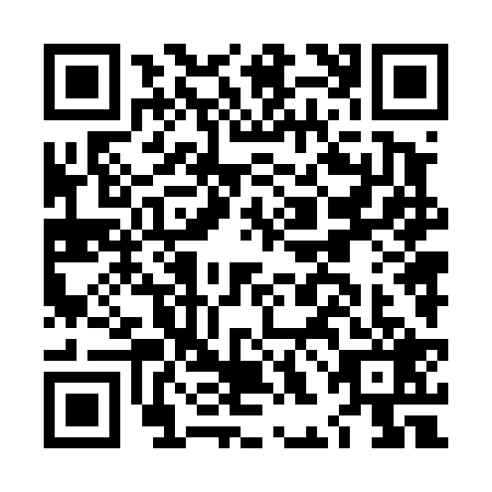 QR code for LHN4295