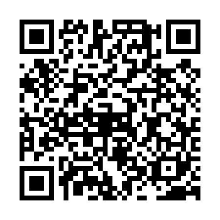 QR code for LHS4613