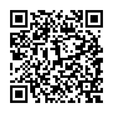 QR code for LID2928