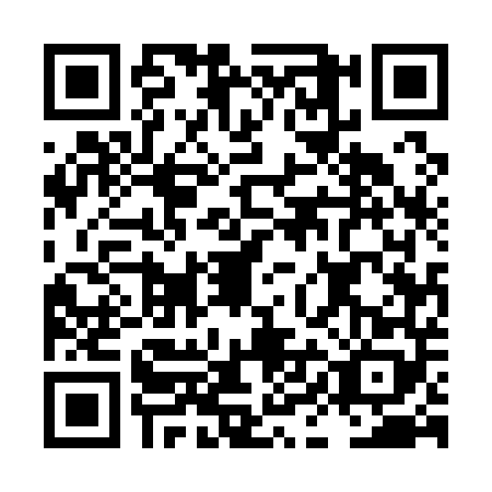 QR code for LIE1486