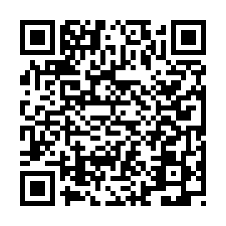 QR code for LIE5498