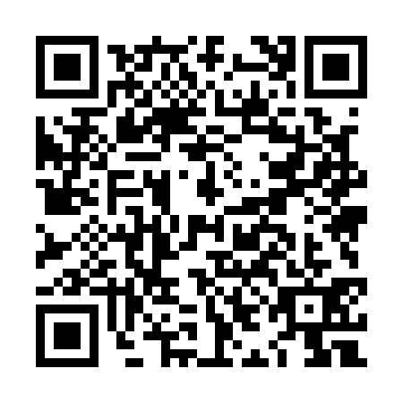 QR code for LIM1319