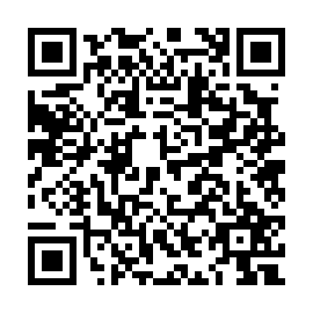 QR code for LIR0273