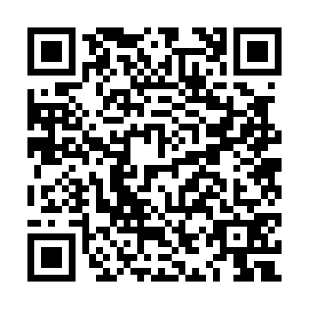 QR code for LIR0728