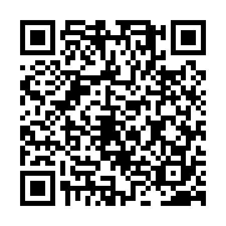 QR code for LLM1729