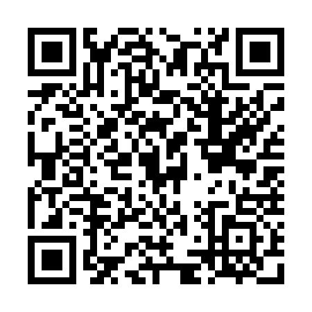 QR code for LLW0336