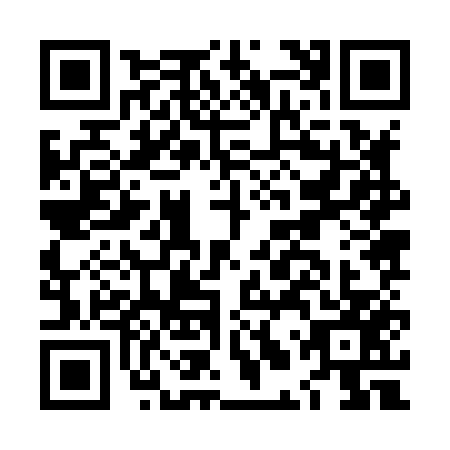 QR code for LLZ8579