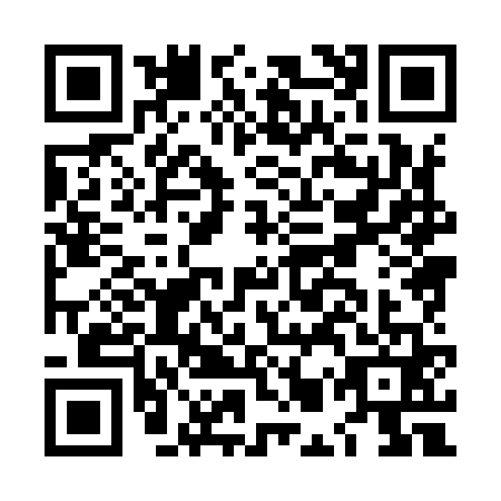 QR code for LMX9617
